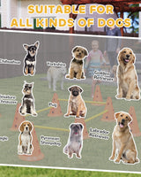 Dog Agility Training Cones (Set of 8) - Image 5
