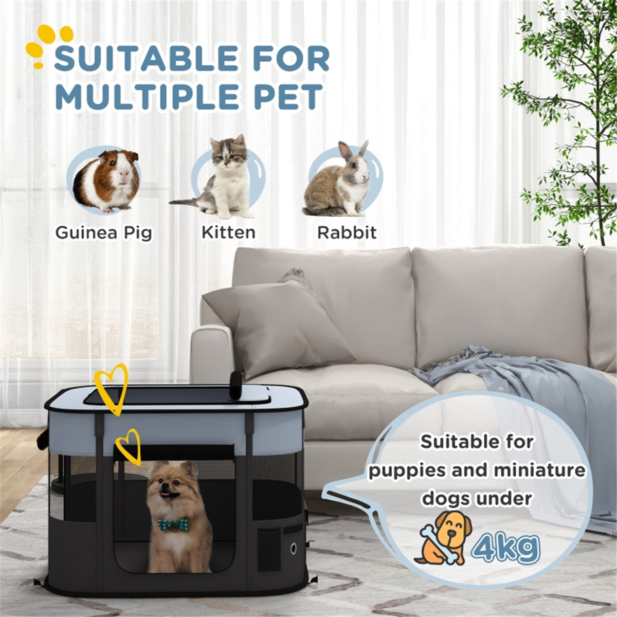 Pet Carrier Bag for Cats & Small Dogs