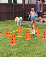 Dog Agility Training Cones (Set of 8)