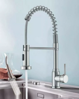 Monobloc Kitchen Sink Mixer Tap with Pull-Out Hose
