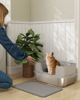 Hooded Cat Litter Box with Carbon Filter