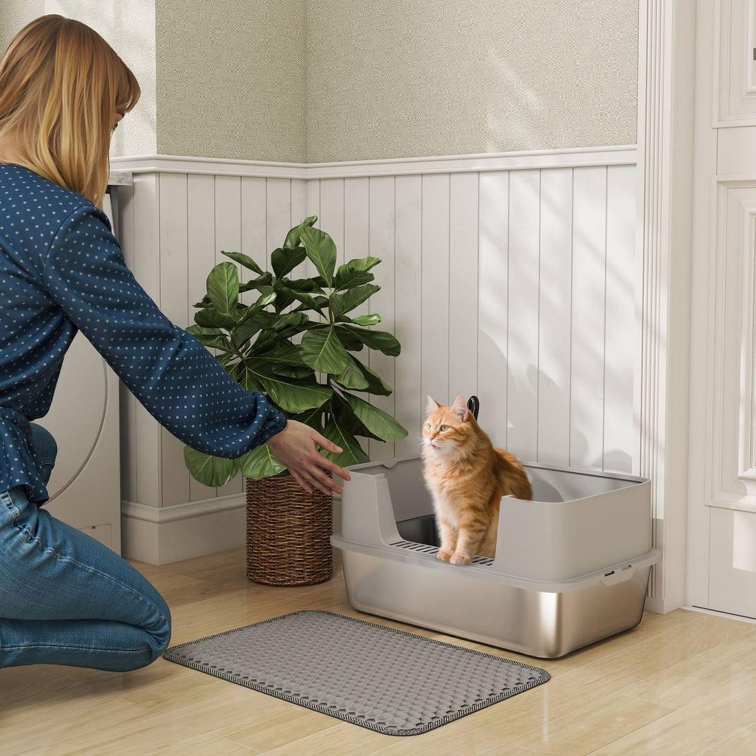 Hooded Cat Litter Box with Carbon Filter